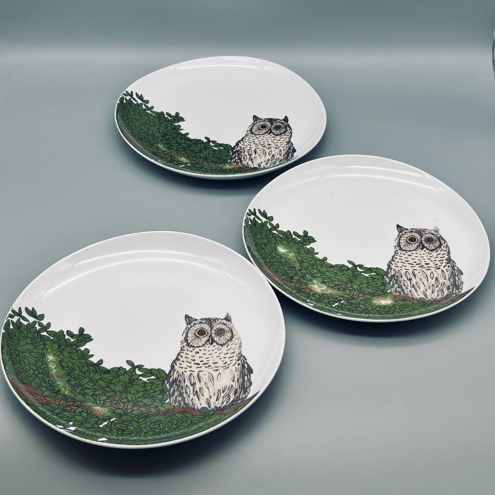 Owl Organic by West Elm Rachel Kozlowski Designed Salad Plates 3 Piece